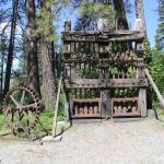 IMG_7564 (May 28, 2024)